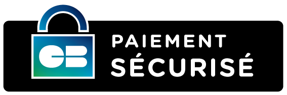 paiement sécurisé en ligne